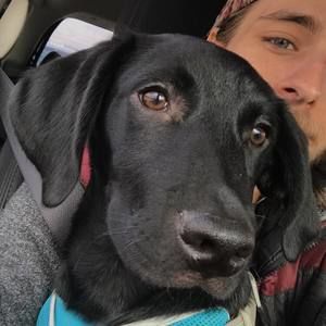 Meet your Posher, Brody